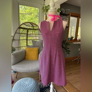 Lilly Pulitzer Brielle Hotty Pink stripe Stretch fit flare dress- Small